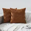Funda de Cojín de Terciopelo para Almohada Lumbar Transfronteriza Amazon Textura Diseño Rayado para Coche Sofá Sala de Estar Dormitorio