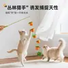 Juguete nuevo para gato: Palo teaser con forma de caqui y mango largo, hecho de madera maciza, duradero y resistente a los arañazos, juguete interactivo para mascotas que alivia el aburrimiento