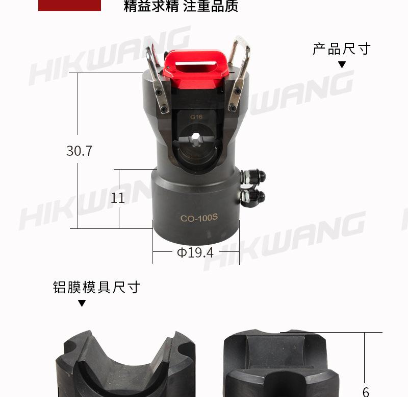 co-100s_04