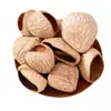 Boneca de Casca de Fruta Pacote de Material DIY Artesanal Criativo Acessórios de Lã Encaracolada para Ursinhos Acessórios de Joias Artesanais para Crianças