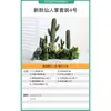 Cacto Artificial Planta Verde Decorativa em Vaso Biónica Tropical Desértica Pacote de Paisagismo Combinação Falso Cactus