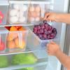 Caixa Organizadora de Geladeira de Cozinha 4,7L Freezer Plástico Transparente com Tampa e Alça Caixa de Armazenamento para Preservação de Alimentos e Ovos