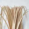 Tiras de Bambú, Tiras de Bambú, Tejido de Bambú, Piezas de Bambú, Materiales de Bambú Suaves y Delgados, Materiales para Cesta Larga Hecha a Mano de Bricolaje, Arreglos de Boda
