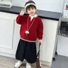 Suéter de punto con cuello en V para niño Otoño e Invierno Estilo Coreano Suéter Pulóver Grueso de Punto para Niños Pequeños y Niños Pequeños Ropa de Otoño de Moda