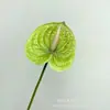 Flores Artificiais com Toque Realista, Materiais de Filme 3D, Flores de Palmeira-Grou para Arranjo de Parede de Flores para Salão de Banquetes, Decoração de Casamento e Adereços de Fotografia