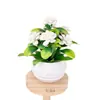 Plantas verdes artificiales, flores artificiales, plantas artificiales en maceta, bonsáis artificiales, decoraciones de escritorio, venta al por mayor de bonsáis artificiales