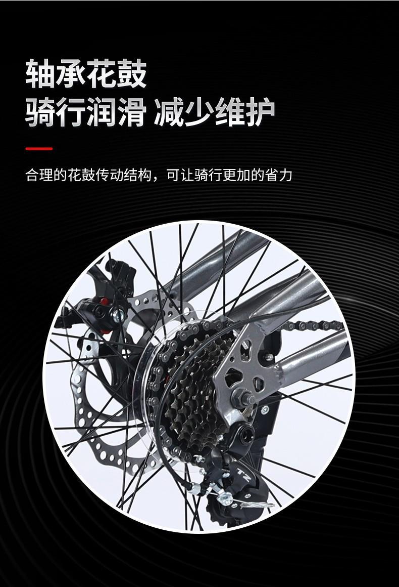 2c4c0840-ce8d-4aa2-934b-fdce932a3c8e.jpe