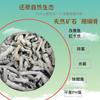 Material Filtrante para Acuario Hueso de Coral Anillo Cerámico Piedra Volcánica Casa Bacteriana Material Filtrante Decoración de Paisaje de Acuario Arena Base Envío Gratis