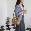 Bolso de nicho transfronterizo modelo nuevo 2026 moda femenina bolso tejido de paja para vacaciones en la playa y la costa, bolso de hombro y cruzado