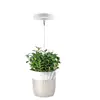Lámpara LED retráctil para crecimiento de plantas, anillo de ángel, suculenta, anti-luz solar, espectro completo, temporizador de floración, luz de relleno para plantas