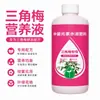 Solución Nutritiva Especial para Buganvilias Fertilizante para Floración Promoviendo Flores Polvo de Hueso Poblado Fertilizante Compuesto Cultivando Flores