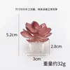 Decoración de micro paisajismo, accesorios de plantas suculentas mini simuladas, adornos para escritorio de oficina, decoraciones de plantas en maceta de plástico