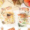 Yuezhen Cultural y Creativo Pegatinas de las 24 Estaciones Pegatinas 3D Pop-Up Pegatinas Transfronterizas para Niños Pegatinas Mate de Mascotas y Paisajes