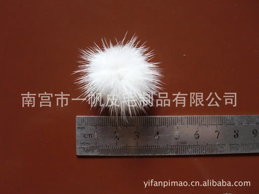 CIMG0891