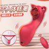Ropa Interior Vibratoria Femenina Portátil Manno Mei Hu con Vibración Fuerte, Control Remoto Inalámbrico, Masturbador Vibratorio No Expansible