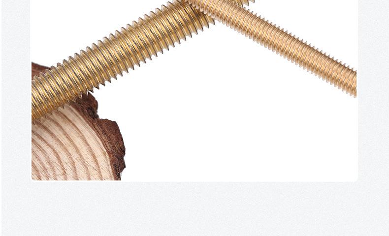 0723 141铜丝杆详情-16.jpg
