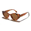 Óculos de Sol Leen Poligonais Irregulares Cat-Eye para Travessia de Fronteira para Homens e Mulheres, Estilo Retrô Europeu e Americano, Óculos de Sol com Proteção UV