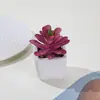 Venta caliente transfronteriza macetas de simulación de porcelana macetas para suculentas decoración del hogar adornos de escritorio plástico planta flores artificiales fabricantes al por mayor