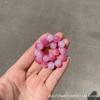 Popular Contas de Vidro Rachadas de Gelo Gradiente Flor de Cerejeira Contas de Vidro 10mm Pulseira de Contas Flor de Cerejeira Pulseira Versátil e Legal no Verão