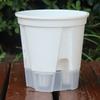 Novo armazenamento de água transparente bacia de montanha verde auto-absorvente preguiçoso bacia de controle de raiz Zhu Ding vermelho phalaenopsis vaso de flores de plástico atacado