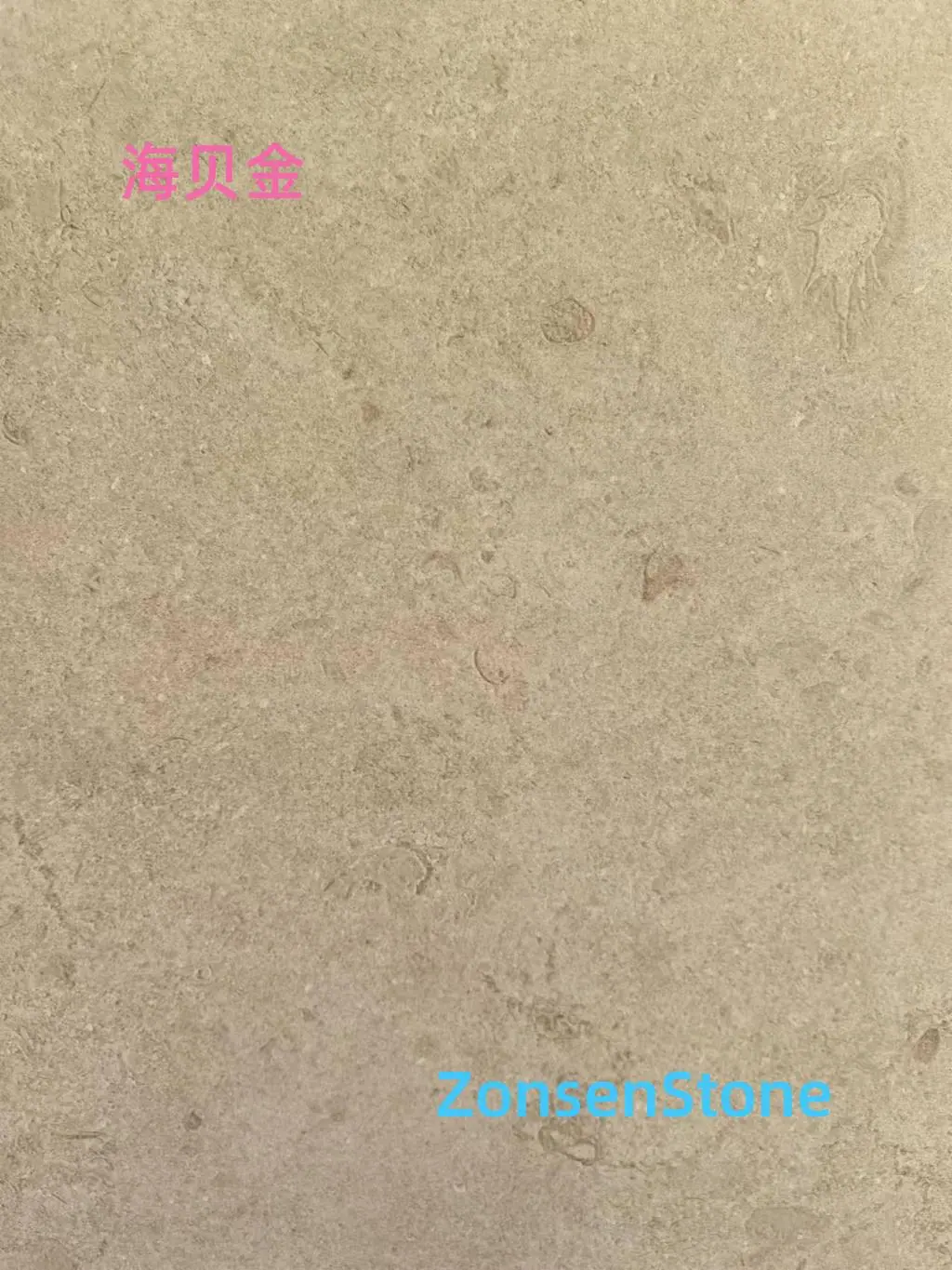 17721293794110632906_详情图.jpg