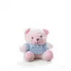 Oso Lindo con Suéter Colgante Juguete de Peluche Muñeca Oso de Peluche Colgante de Bolsa Llavero Muñeca Muñeca