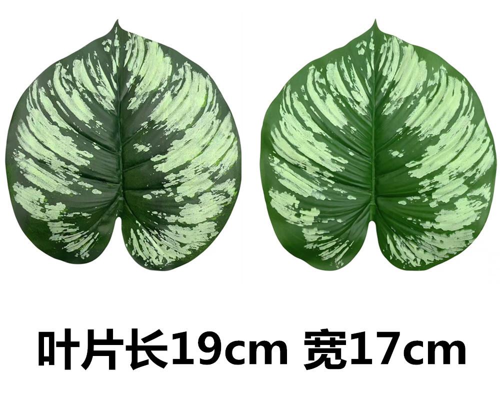 未命名_副本652