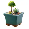 Maceteros de Clearance Especial para Suculentas Maceta de Barro Grueso Transpirable Macetas Creativas para Plantas Suculentas Pequeñas Cerámica Pequeño Diámetro