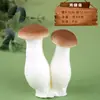 Simulación modelo de verdura y fruta falso verduras verdes pimiento rojo espuma plástica maíz rábano calabaza adornos decorativos accesorios