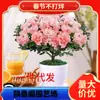 Dropshipping Azalea Planta en Maceta de Flor Doble Floración Interior Todo el Año con Capullos Grandes y Fácil de Cultivar
