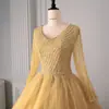 2026 Novo Transfronteiriço Inverno Europeu e Americano Vestido de Casamento Moda Renda Manga Longa Vestido de Noite Exame de Artes Cênicas Bainha Grande Saia Bufante