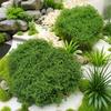 Césped de Musgo Artificial, Adornos para Arreglos de Rocalla de Micro Paisaje de Musgo Falso, Pavimentación de Jardinería de Césped para Bonsái, Paisajismo de Enverdecimiento