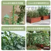 Treliça para pepino e feijão trepador, suporte de vara para tomate, andaime para frutas e vegetais, suporte de tubo de aço revestido específico para plantas