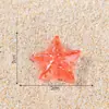 Micro-paisaje Estrella de mar Colorida Luminosa Partículas Lindas Adorno Pequeño de Escritorio Tanque de Peces Oceánico Paisajismo Accesorios Decorativos DIY