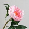 Lan Guifang Ramo Artificial de Flor de Peonía Hidratante de Gama Alta Adornos para Sala de Estar en Casa Fabricante de Flores Artificiales Decorativas Venta al Por Mayor