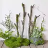 Ornatos Decorativos de Combinação de Galhos e Flores Secas para Paisagismo de Chão, Plantas Verdes para Decoração de Chão de Sala de Estar