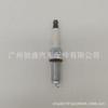 Lr050998 Es Adecuado para Land Rover Discovery Range Rover Divine Walker Jaguar Bujía Silzka7E8S