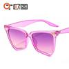 Nuevas Gafas de Sol Personalizadas Arcoíris Estampado de Leopardo Uña de Arroz Color Arcoíris Gafas de Sol para Mujer Ojos de Gato Transfronterizo 9632