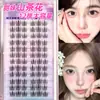 Cílios Postiços 12 Fileiras Grande Capacidade Estilo Cílios de Raposa Cola Estilo Cílios de Beleza Elfo Gato Estilo Fotogênico Personalizado Atacado