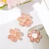 Chica Vitalidad Fantasía Cristal Flor de Cinco Pétalos DIY Trenzado a Mano con Cuentas Pasador de Pelo Accesorios para el Cabello Pendientes Flor para Zapatos Accesorios para Bolsos