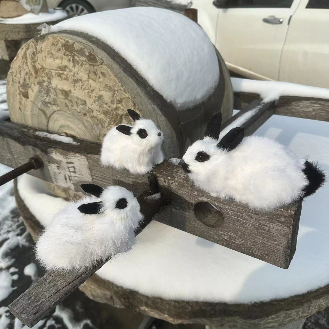 微信图片_202312121359161