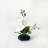 Estilo Luxo Leve 3 Flores 2 Folhas 1 Grama Phalaenopsis Flor Artificial Ornamento de Mesa ins Arranjo Floral de Alta Qualidade Ornamento Floral para Mesa de Jantar