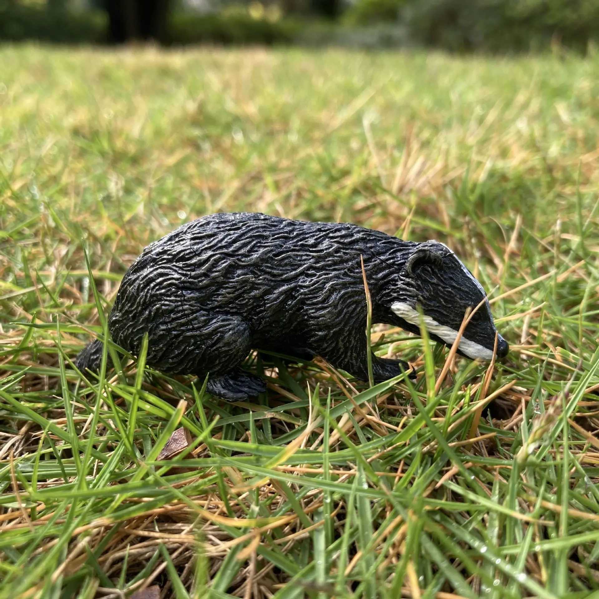 坐獾1