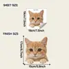 Diversão Transfronteiriça-F1070 Gato Fofo Realista Sala de Estar e Sala de Jantar Decoração de Fundo Adesivos de Parede Atacado Removível