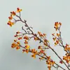 Estilo Wabi-Sabi Vid Artificial de Serpiente del Sur y Fruta de Serpiente del Sur, Instalación de Hotel, Arte Floral Vintage de Otoño, Adornos Decorativos para Sala de Estar