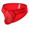 Calzoncillos para hombre tiro bajo sexy cómodos Transpirables De alta gama modernos ropa interior juvenil para hombre de nailon elegante C2-15