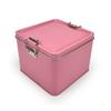 Caja de Lata con Hebilla Deslizante Cuadrada Caja para Pastel de Piña Caja de Dulces Caja para Pastel Nb Caja de Lata Dopamina Caja para Galletas Caja de Dulces de Boda
