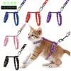 Arnés Correa para Gato Luminoso Estrella Luna Gato Anti-escape Cuerda para Mascota Gato Juego de Cuerda Múltiples Colores Disponibles