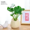 Planta de Monstera en Maceta para Escritorio de Oficina, Pequeña Planta Verde Purificadora de Aire, Decoración de Mesa para Interiores, Planta Fácil de Cuidar