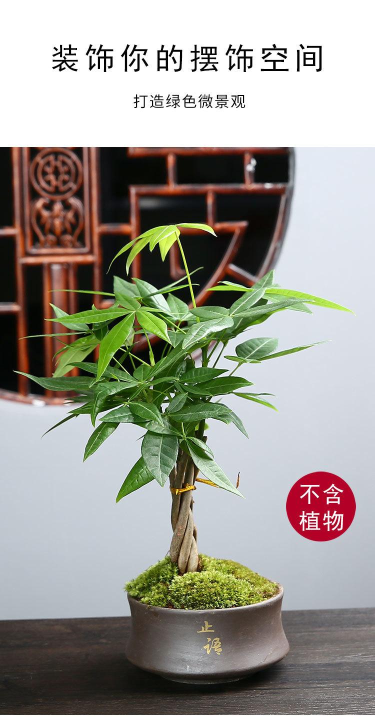 绿植花盆_02